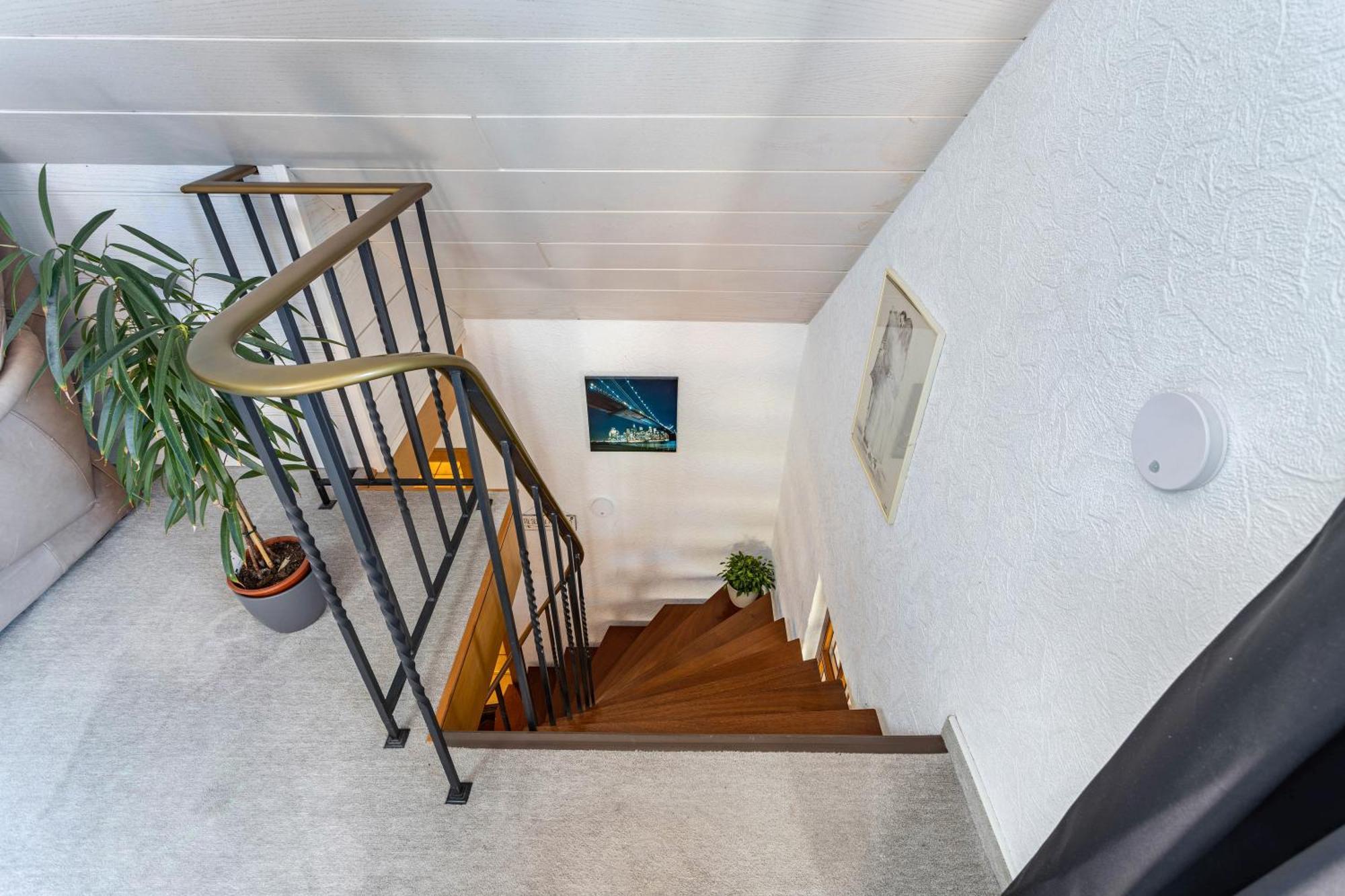 Haus Waldesruh Villa Medebach Exteriör bild